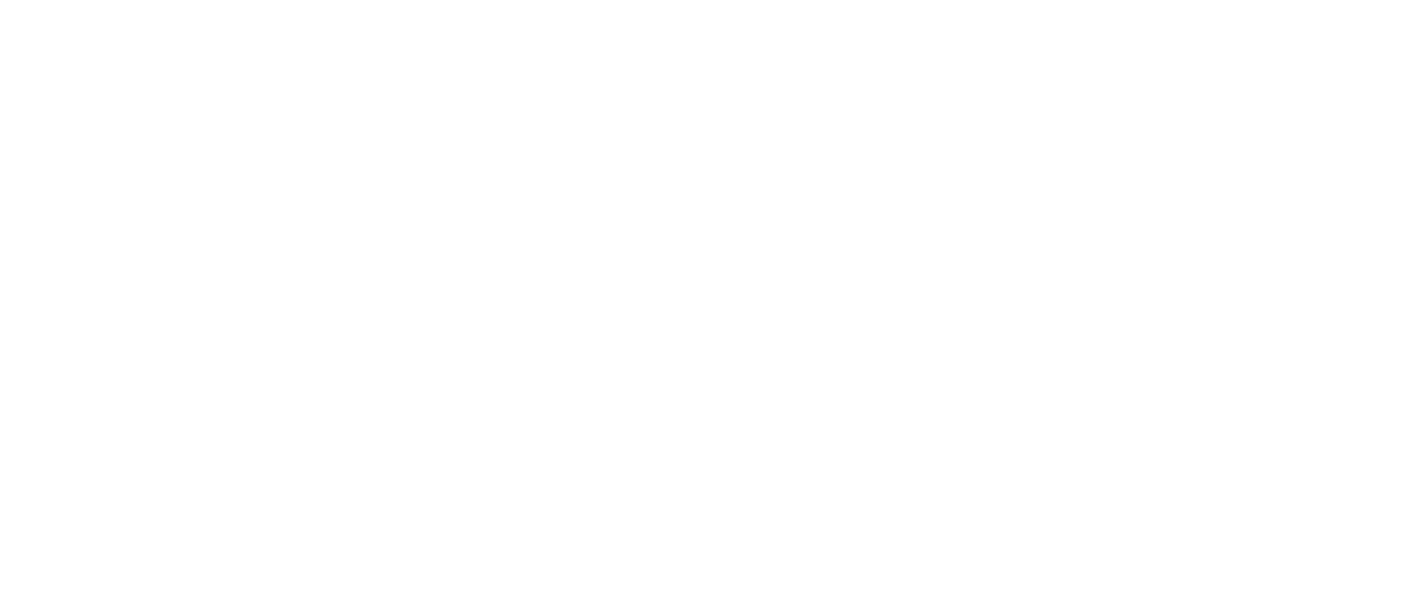 Nexgen Xperience Logo